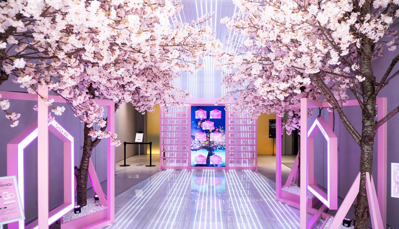 幻想的な世界に没入できるお花見体験！GINZA 456の「願い